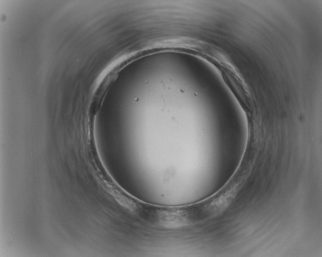 X0000058781328200510031010