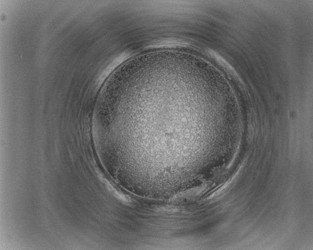 X0000058781329200510031010