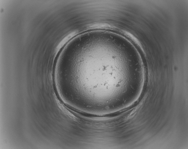 X0000058781330200510031010