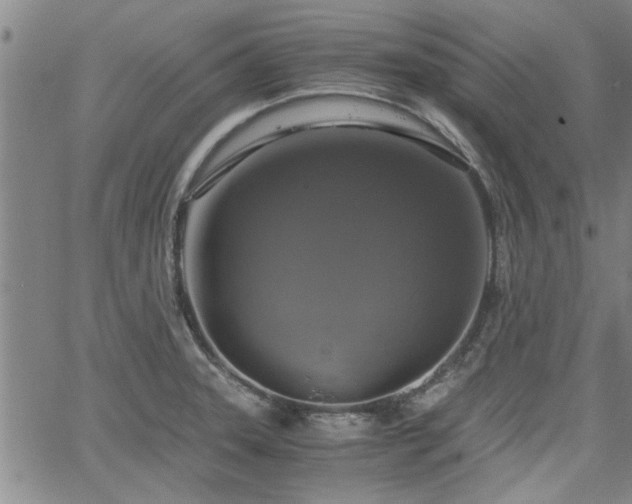 X0000058781331200510031010