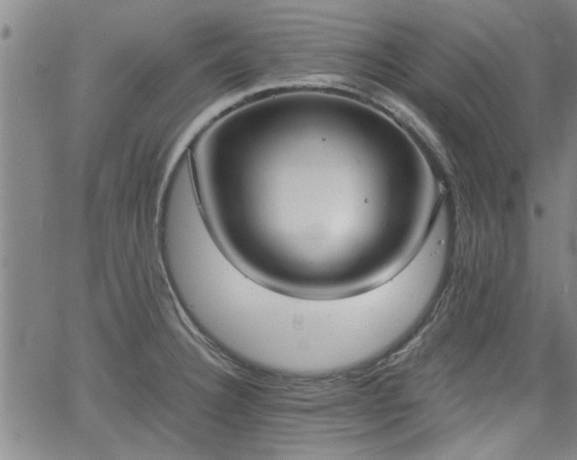 X0000058781332200510031010