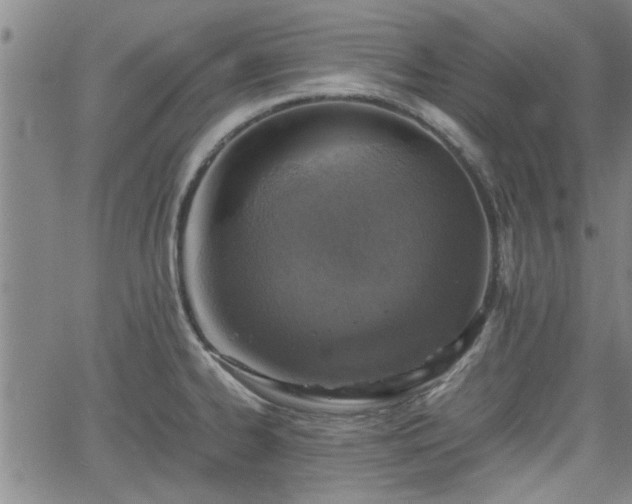 X0000058781334200510031010