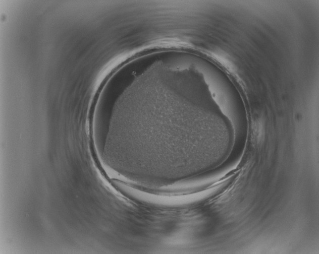 X0000058781335200510031010