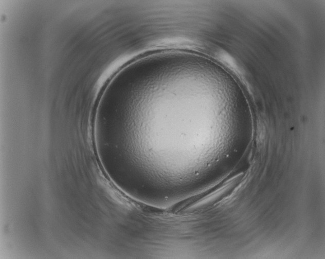 X0000058781336200510031010