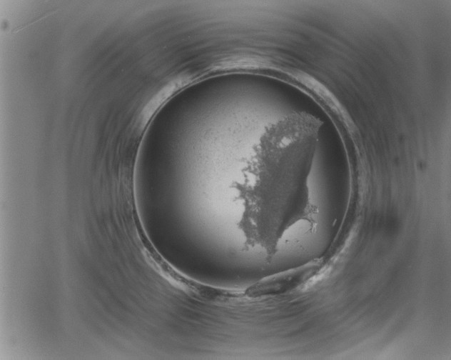 X0000058781337200510031010