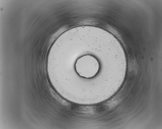 X0000058781338200510031010