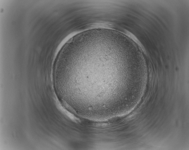 X0000058781339200510031010