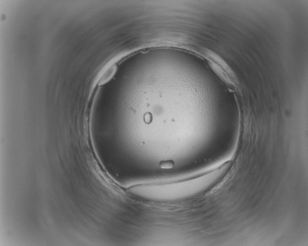 X0000058781340200510031010