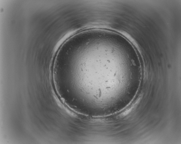 X0000058781341200510031010