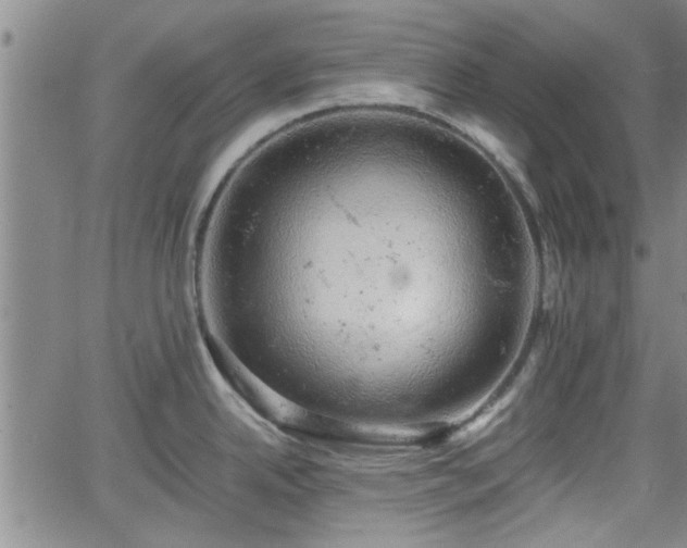 X0000058781342200510031010