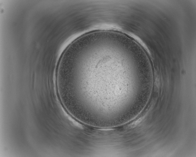 X0000058781343200510031010