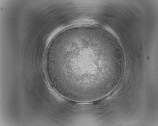 X0000058781344200510031010