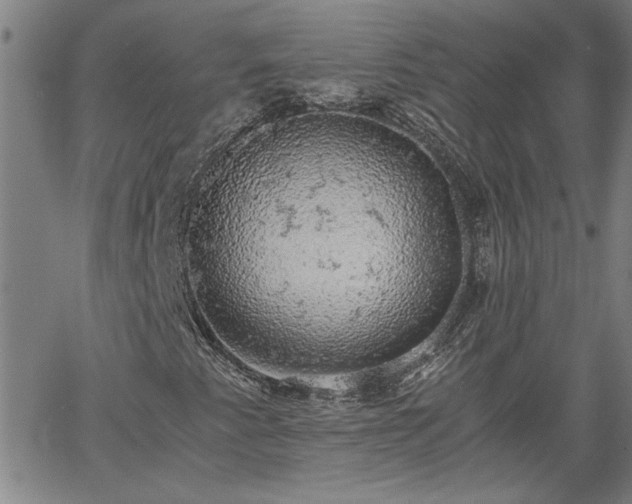 X0000058781345200510031009