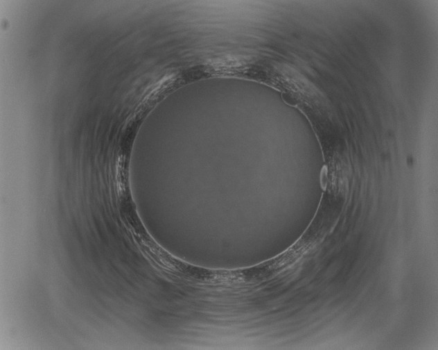 X0000058781346200510031009