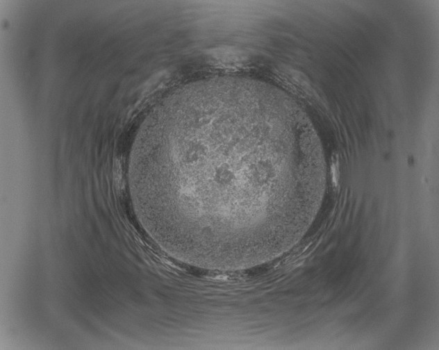 X0000058781347200510031009