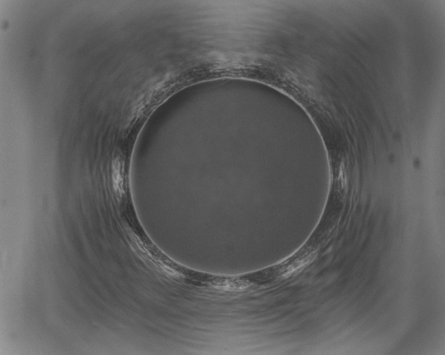 X0000058781348200510031009