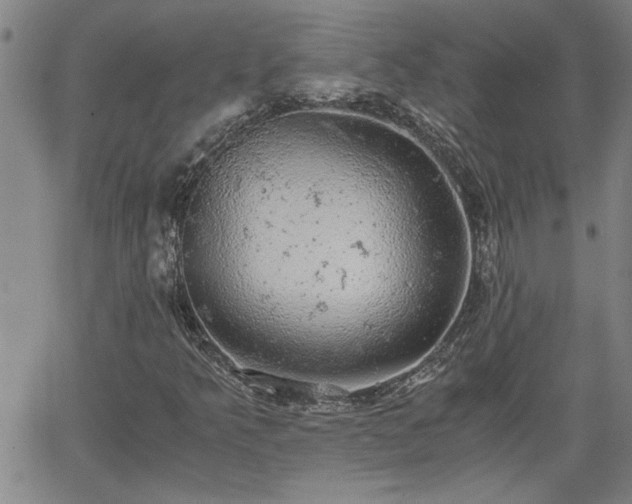 X0000058781349200510031009