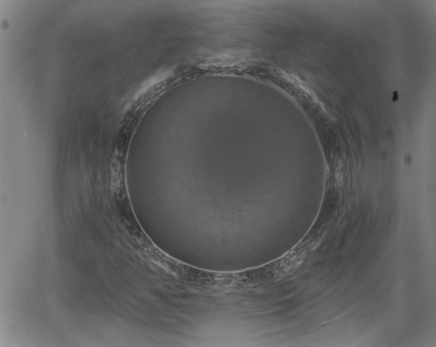 X0000058781350200510031009