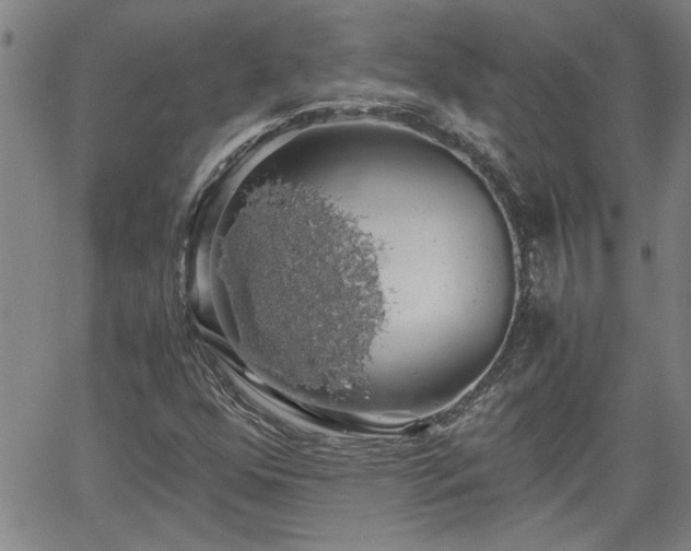 X0000058781352200510031009