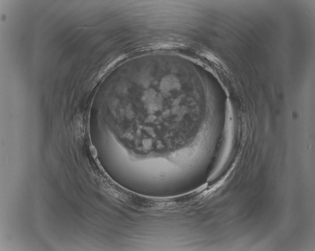 X0000058781353200510031009