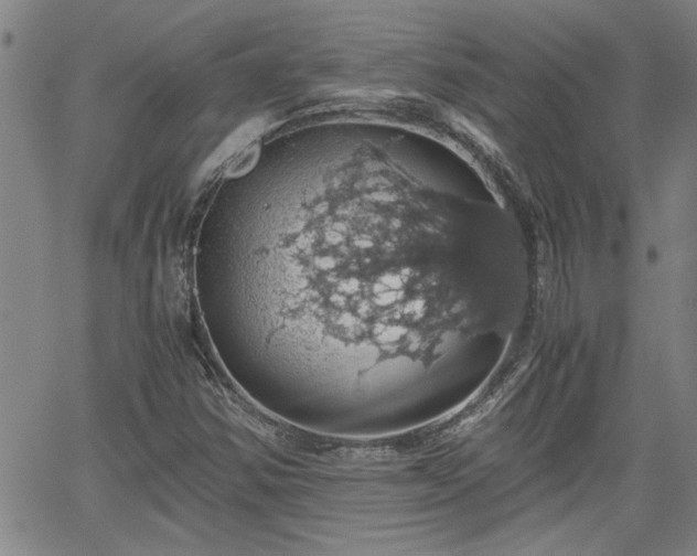 X0000058781354200510031009