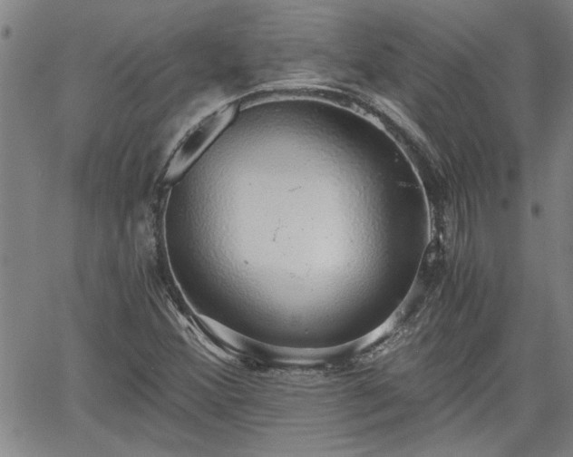 X0000058781356200510031009