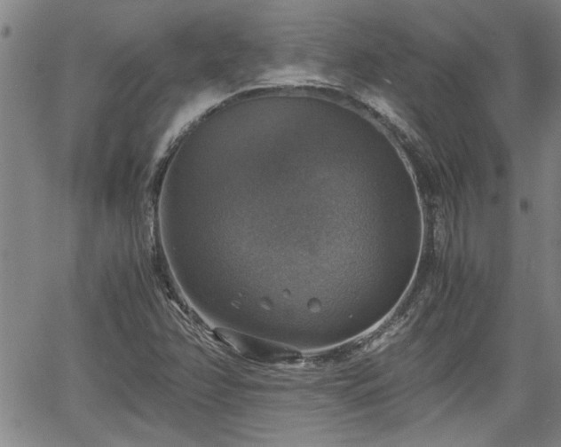 X0000058781358200510031009