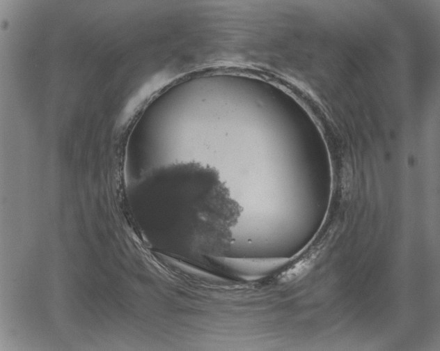 X0000058781359200510031009