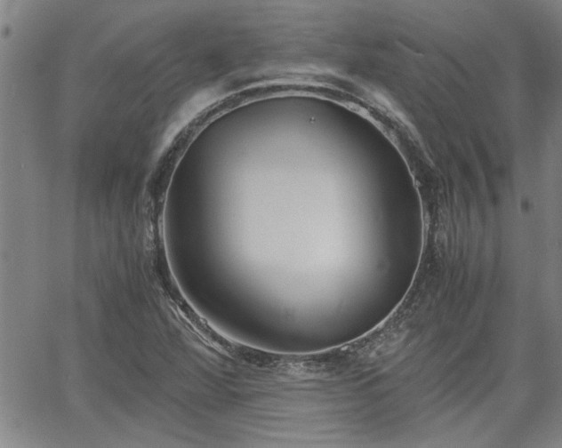 X0000058781360200510031009