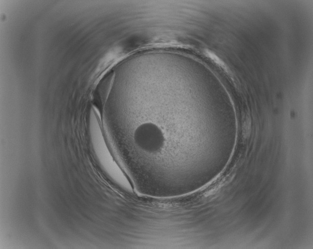 X0000058781361200510031009