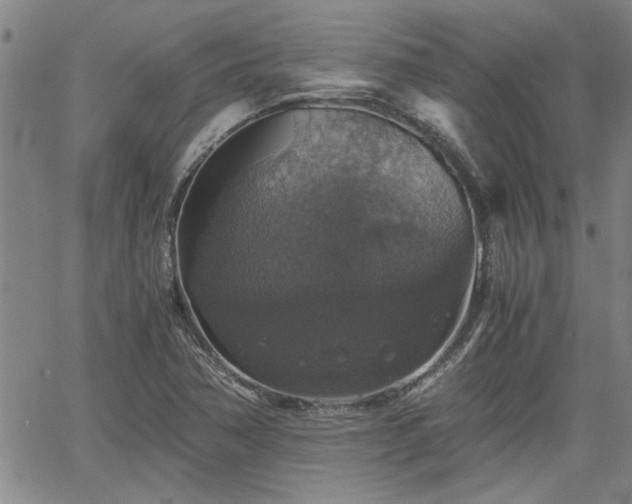 X0000058781362200510031009