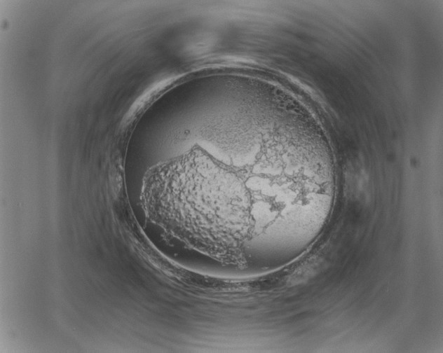 X0000058781363200510031009