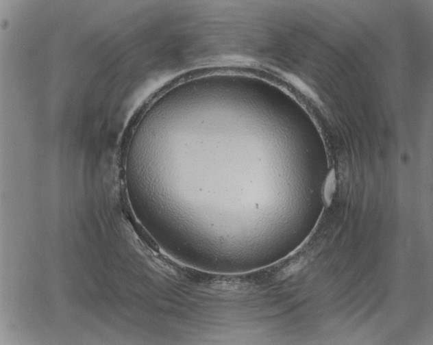 X0000058781364200510031009