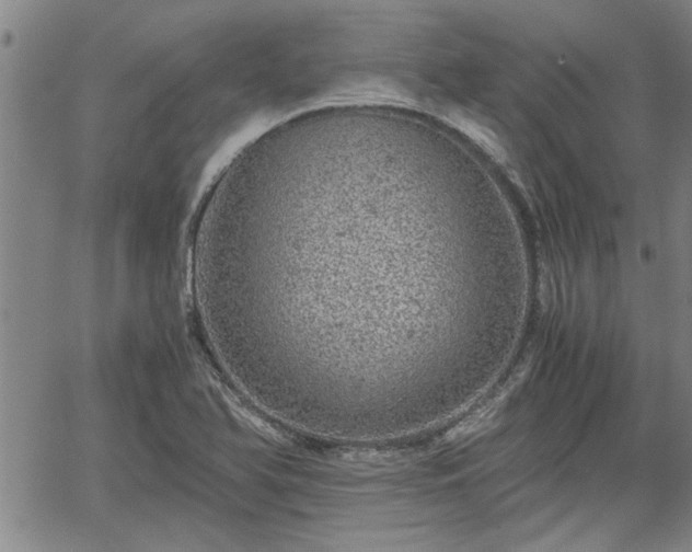 X0000058781366200510031009