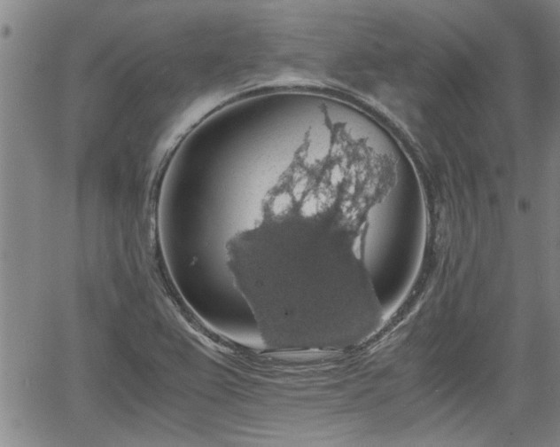 X0000058781367200510031009