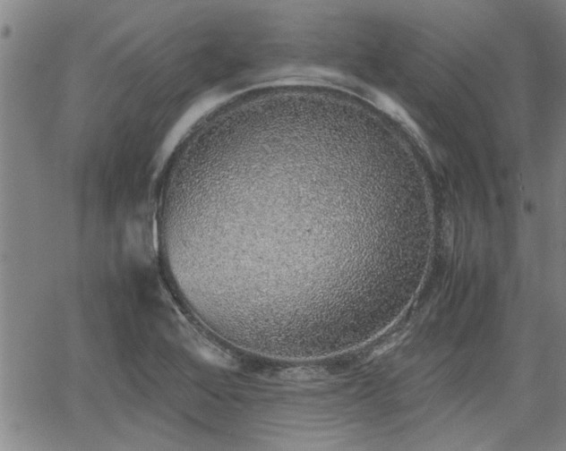 X0000058781368200510031009