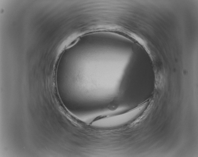 X0000058781373200510031009