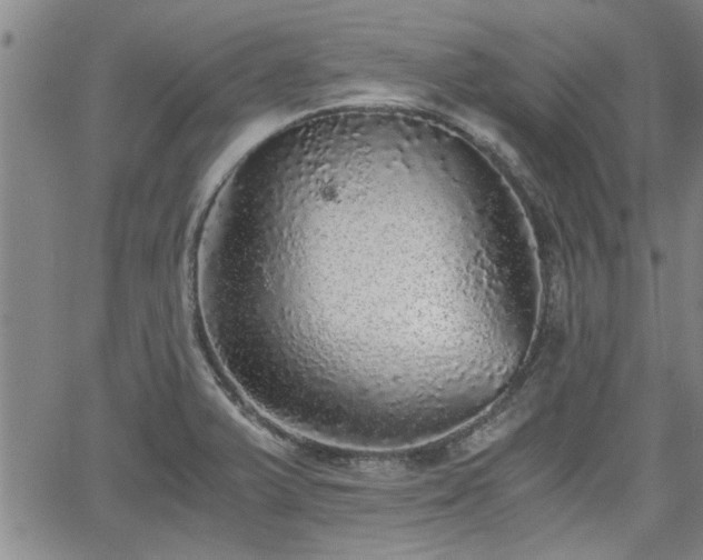 X0000058781375200510031009