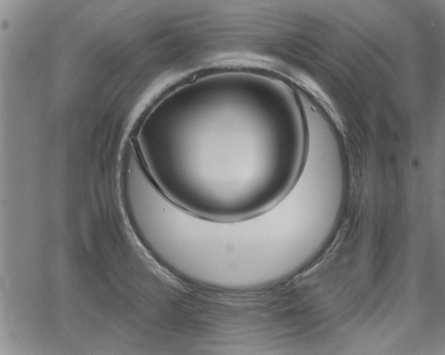 X0000058781376200510031009