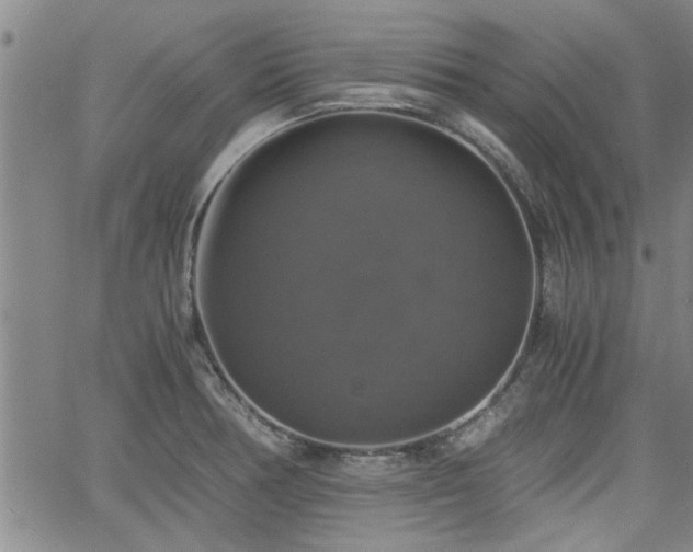 X0000058781378200510031009