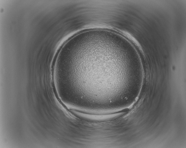 X0000058781380200510031009