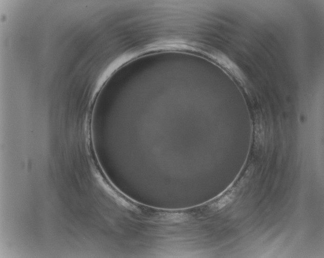 X0000058781382200510031009