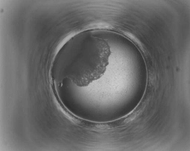 X0000058781383200510031009