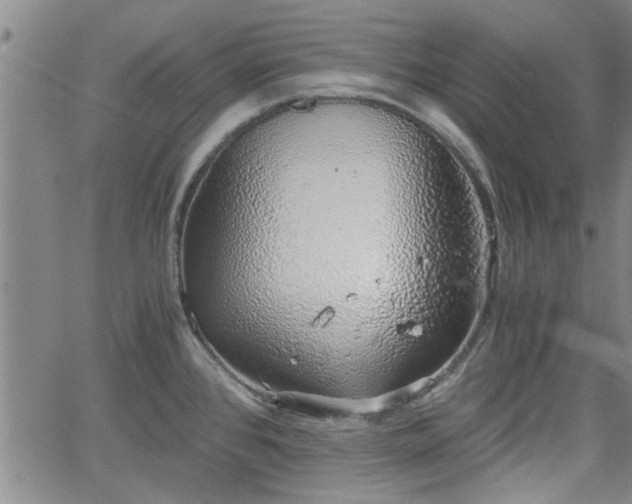 X0000058781384200510031009