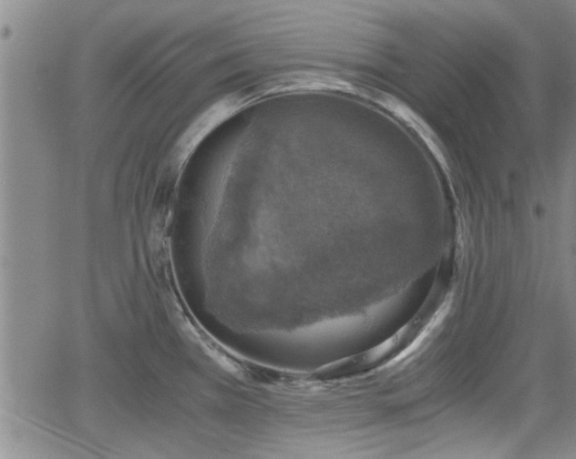 X0000058781385200510031009