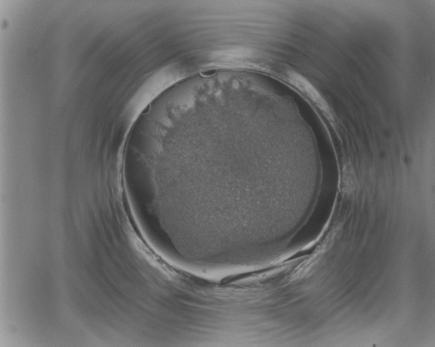 X0000058781386200510031009