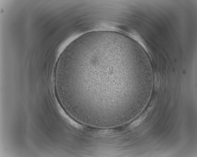 X0000058781387200510031009