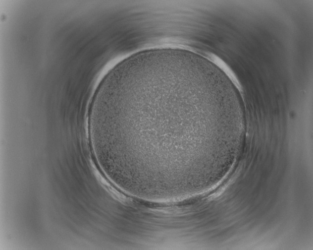 X0000058781388200510031009