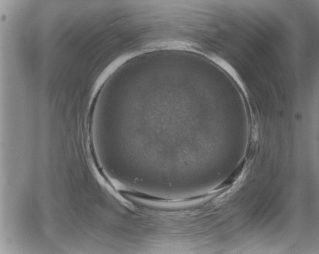 X0000058781389200510031009