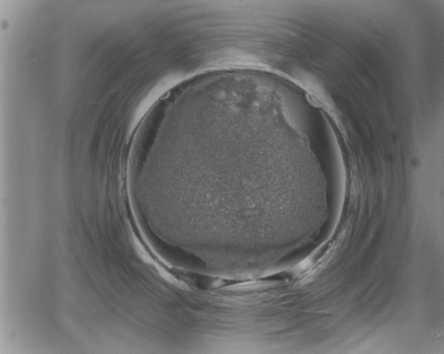 X0000058781390200510031009